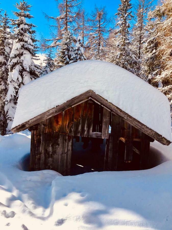 Haus Alpenrose Leilighet Trins Eksteriør bilde